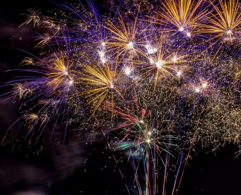 Colorful fireworks illuminate the night sky.