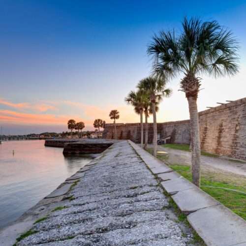 Coastal pathway lined with palm trees alongside calm waters at sunset.