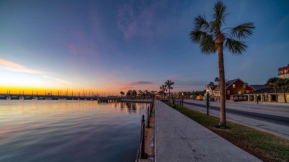 A peaceful waterfront view at sunset featuring palm trees and a gentle shoreline.
