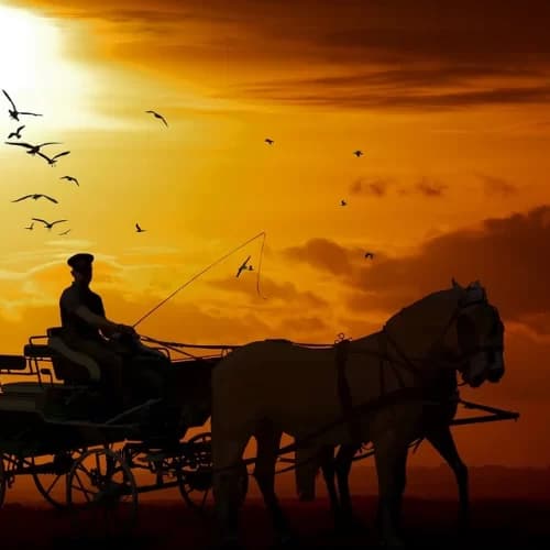 A silhouette of a person fishing from a horse-drawn carriage against a sunset sky with flying birds. A silhouette of a person fishing from a horse-drawn carriage against a sunset sky with flying birds.