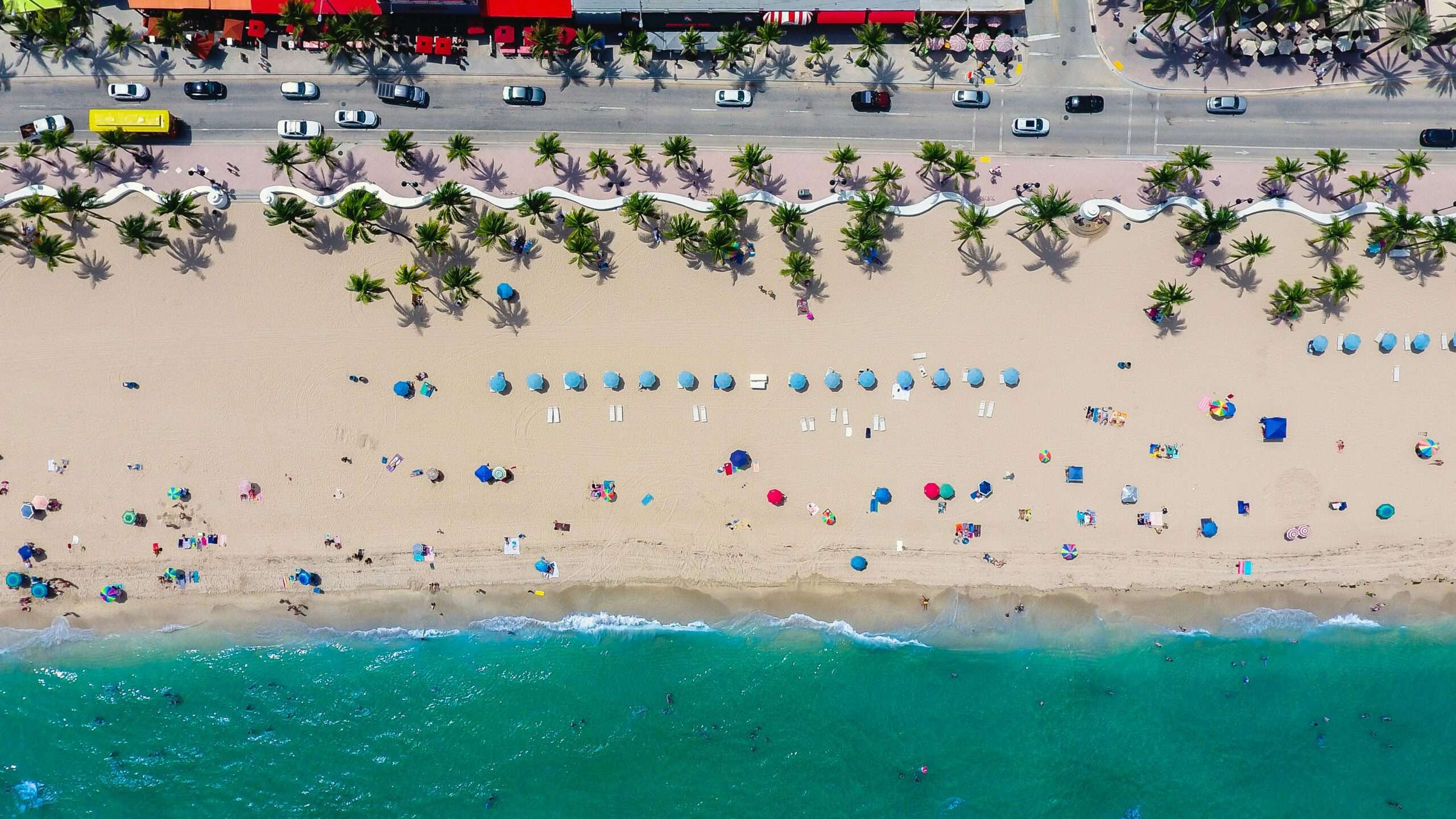 Aerial view of a sunny beach with umbrellas, palm trees, and cars along a road.