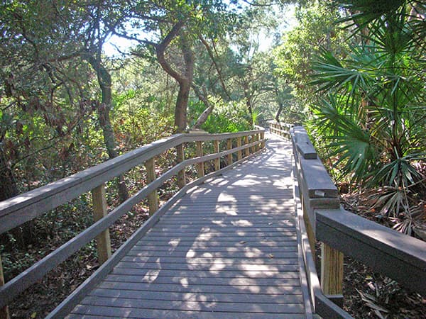 Wooden walkway through a lush, green forest.