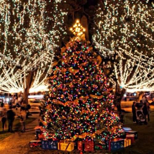A brightly lit Christmas tree adorned with colorful ornaments and surrounded by twinkling lights in a festive setting.